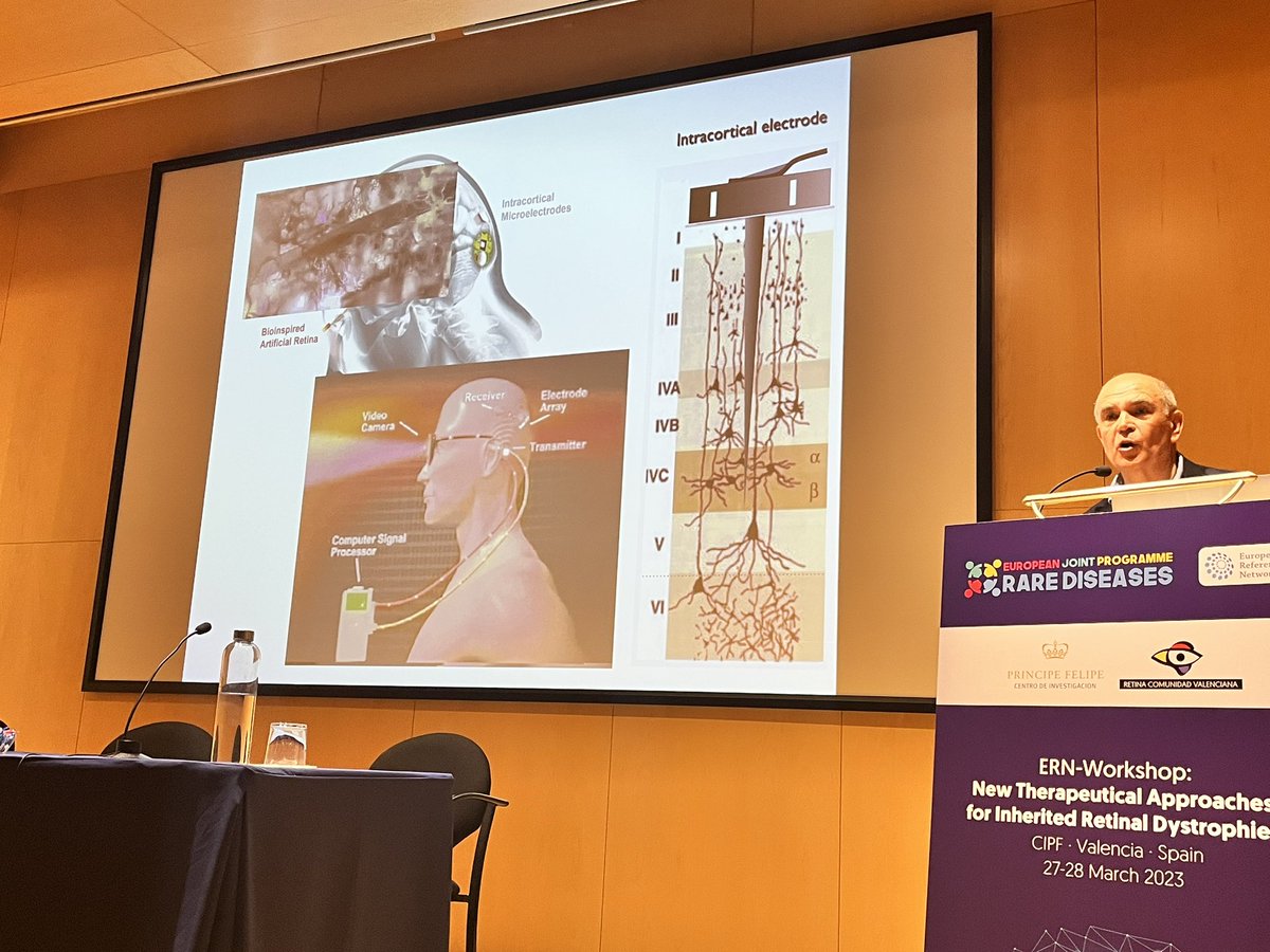 AnaPilarGomez's tweet photo. Talk 5 #ERNworkshop #retinaldystrophies
Dr. Eduardo Fernández from Miguel Hernandez University @CIBERBBN explains the non-viral vector for gene therapy and the electrical stimulation of retina using neuroprothesis
@CIPFciencia @ReginaRodrigo_ https://t.co/WmA6GZKpPG