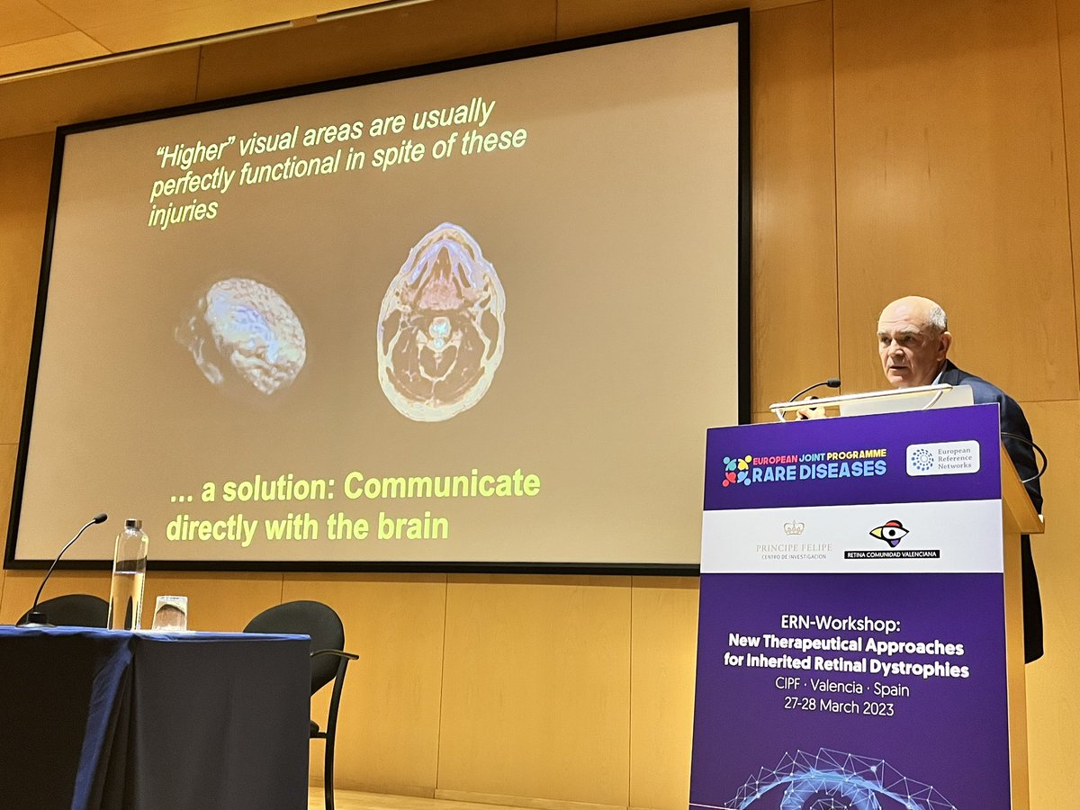 AnaPilarGomez's tweet photo. Talk 5 #ERNworkshop #retinaldystrophies
Dr. Eduardo Fernández from Miguel Hernandez University @CIBERBBN explains the non-viral vector for gene therapy and the electrical stimulation of retina using neuroprothesis
@CIPFciencia @ReginaRodrigo_ https://t.co/WmA6GZKpPG