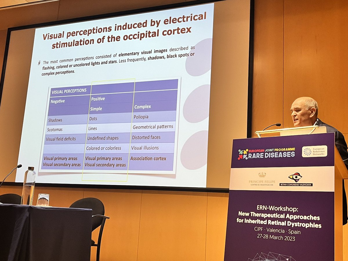 AnaPilarGomez's tweet photo. Talk 5 #ERNworkshop #retinaldystrophies
Dr. Eduardo Fernández from Miguel Hernandez University @CIBERBBN explains the non-viral vector for gene therapy and the electrical stimulation of retina using neuroprothesis
@CIPFciencia @ReginaRodrigo_ https://t.co/WmA6GZKpPG