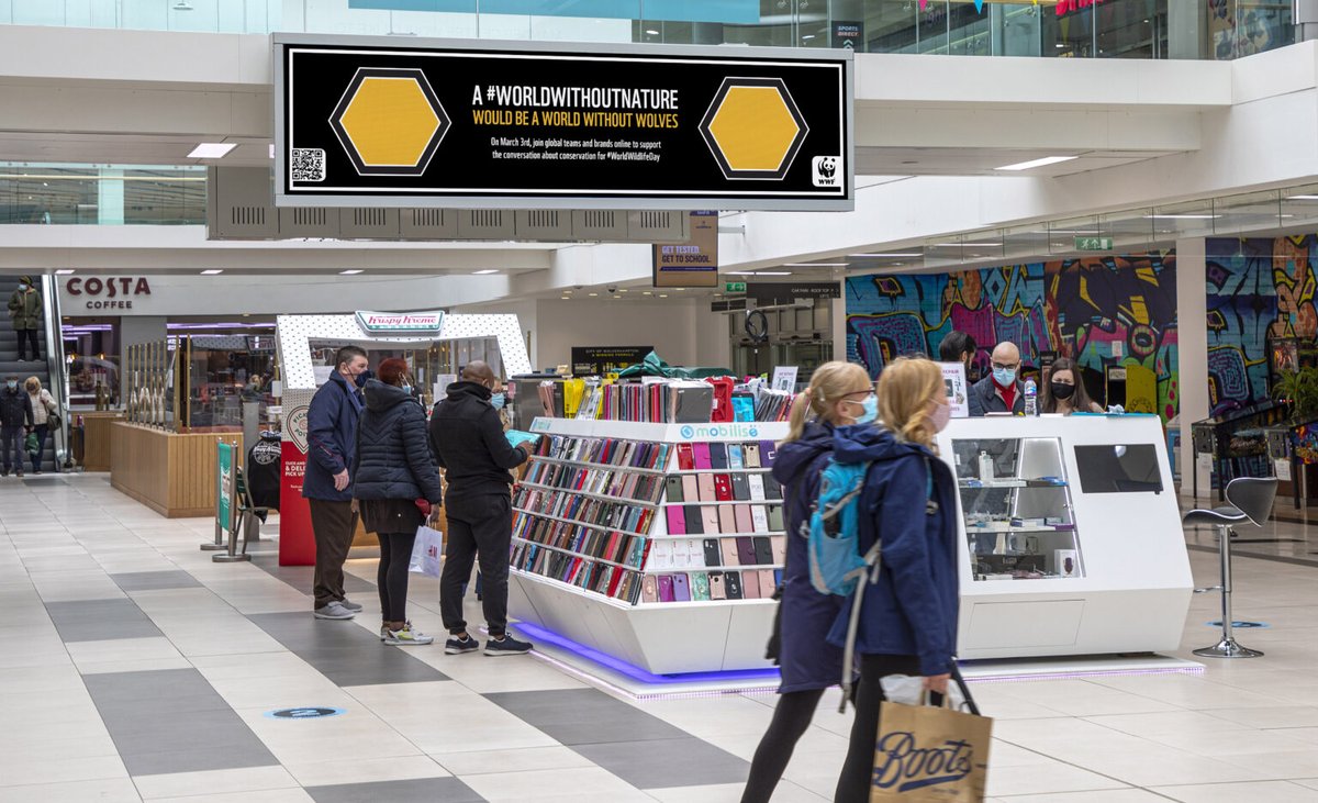 One Minute Briefs ⏱️ tweet media