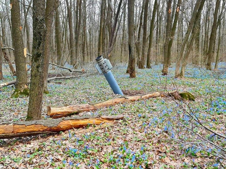 DefenceU's tweet photo. The flowers of evil that  now grow in Kharkiv Forest Park.

📷Vlad Prasol https://t.co/g6CIyg4Sde