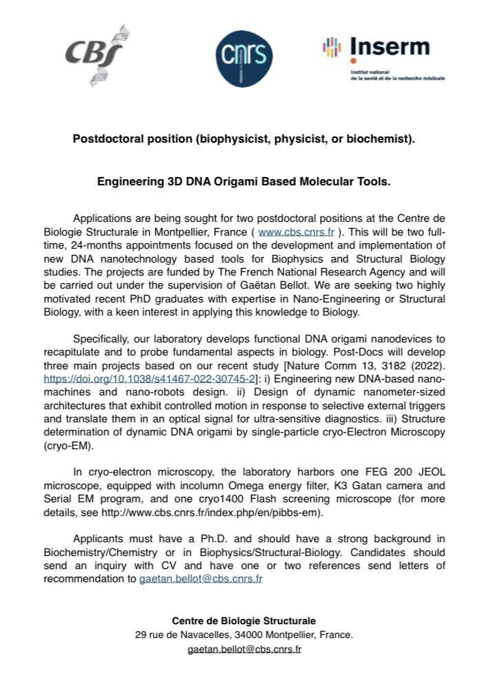 💫 We’re hiring 💫

You’re looking for a #postdoc position and want to join an amazing and dynamic team in South of France, near the beach? Working on #DNAorigami &amp; #cryoEM? Join us! 🤖🧬

You can contact Gaëtan Bellot at: gaetan.bellot@cbs.cnrs.fr

Cheers!