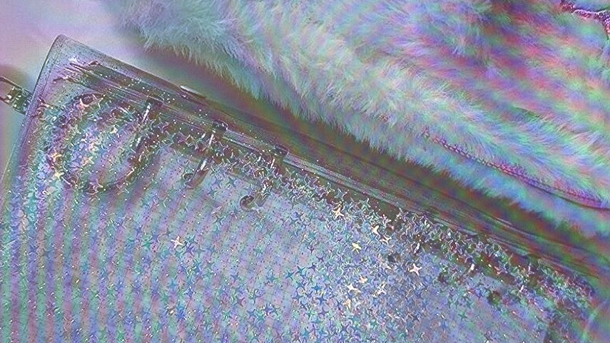 hansoheen's tweet photo. Forget me, forget me not. https://t.co/ztq0z0wmtU