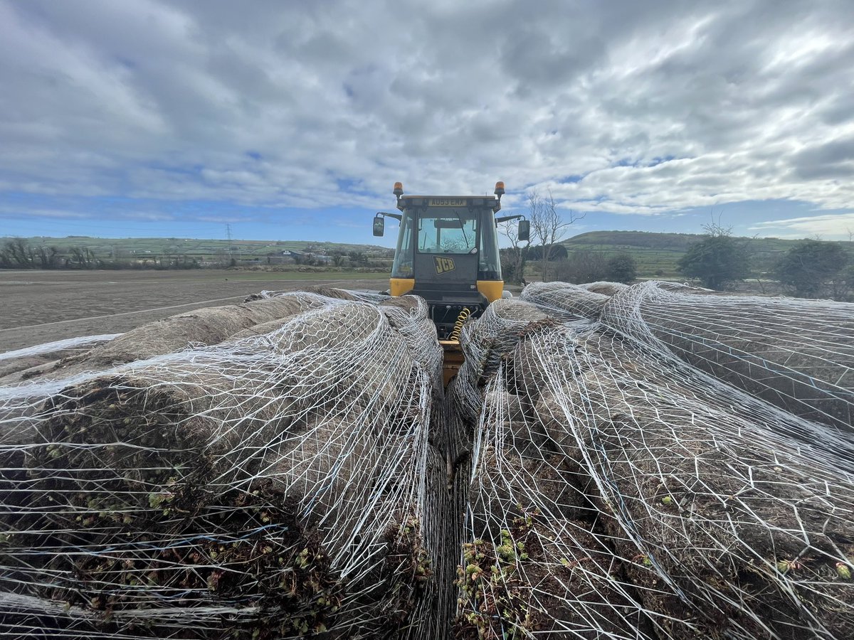 Freshly cut and ready to ship 🟢
#fresh #sedum #greenroof #gogreen #succulents #gardendesign #sedumroof #easytoinstall #greenarchitecture #bees #greenhabitat #evermat