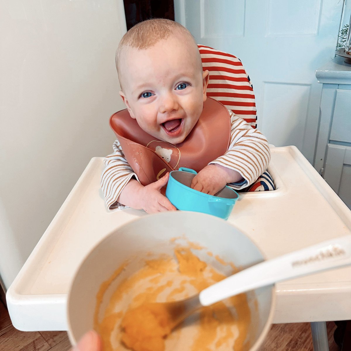 EllieMyhill's tweet photo. 𝐁𝐨𝐝𝐡𝐢’𝐬 𝐋𝐮𝐧𝐜𝐡 𝐓𝐨𝐝𝐚𝐲 🥣 🥄

Today my little man enjoyed a bowl of swede for his lunch 😻

At the moment we are doing a combination of single veg 🥕 and single fruit 🍏 and alternating. He definitely prefers the fruit 🤣 but it’s starting to enjoy the veg too 🥰 https://t.co/EcNcvxuiTt