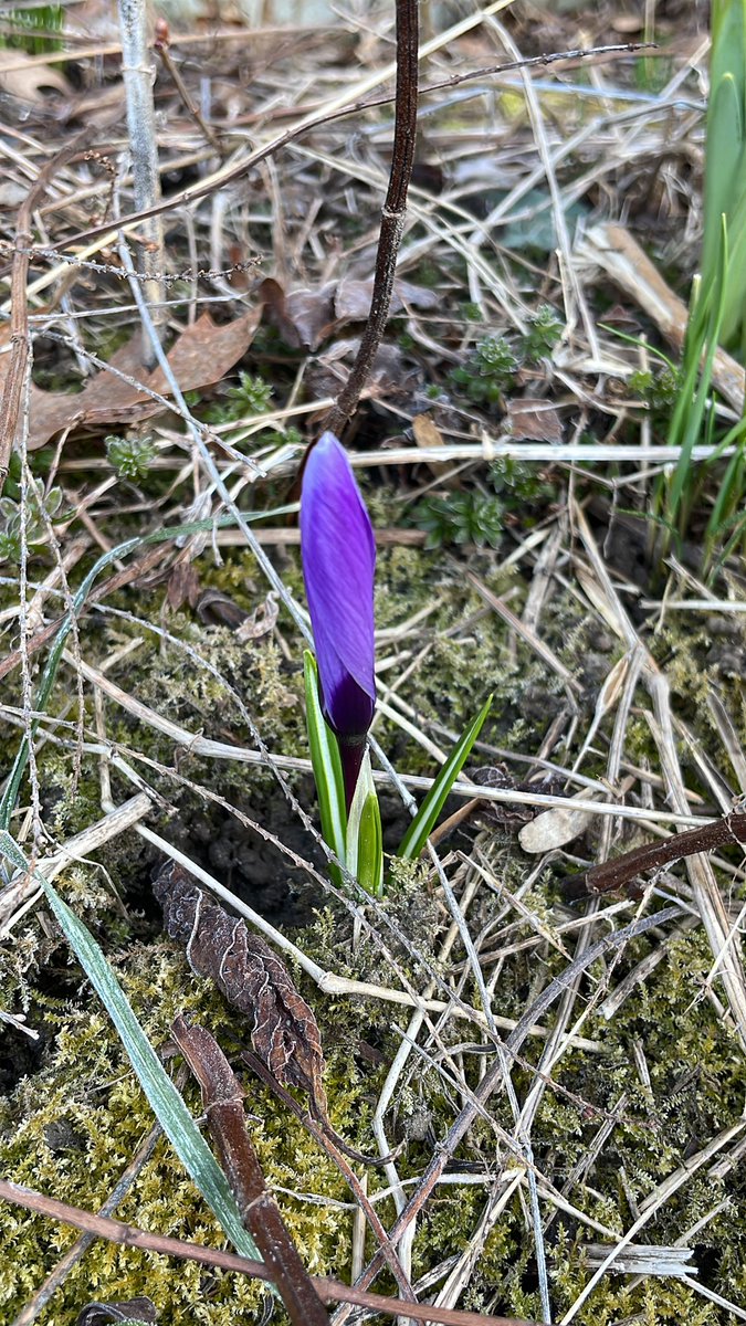 What’s this?  Another sign winter’s days are coming to a close!