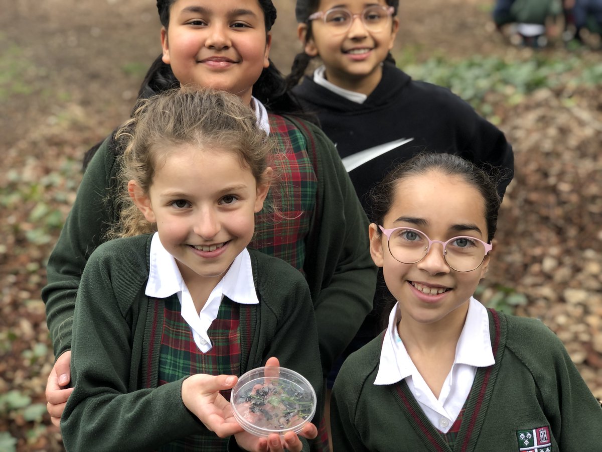 Bronte House School tweet media