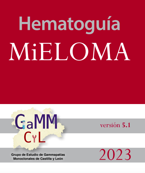 SCLHH1's tweet photo. Os dejamos disponible en nuestra web la guía de Mieloma v 5.1 realizada por el Grupo de estudio de GaMM de Castilla y León, perteneciente a SLCHH.

👉📕https://t.co/1GJapHcF9p

Esperamos que os sea muy útil. https://t.co/n1KUcKJ6Dr