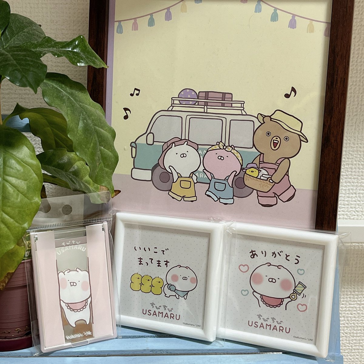 asu_usamaru51's tweet photo. 先週、ちびちびのおへや in あべのハルカス近鉄本店に行ってきました🌼
ちびちびうさまる可愛かった～
グッズがたくさん並んでいて、どれを買うか迷いました☺️ 挟まるちびちびうさまるがむっちゃかわいい🐰
#ちびちびうさまる https://t.co/r89S3jXdAC