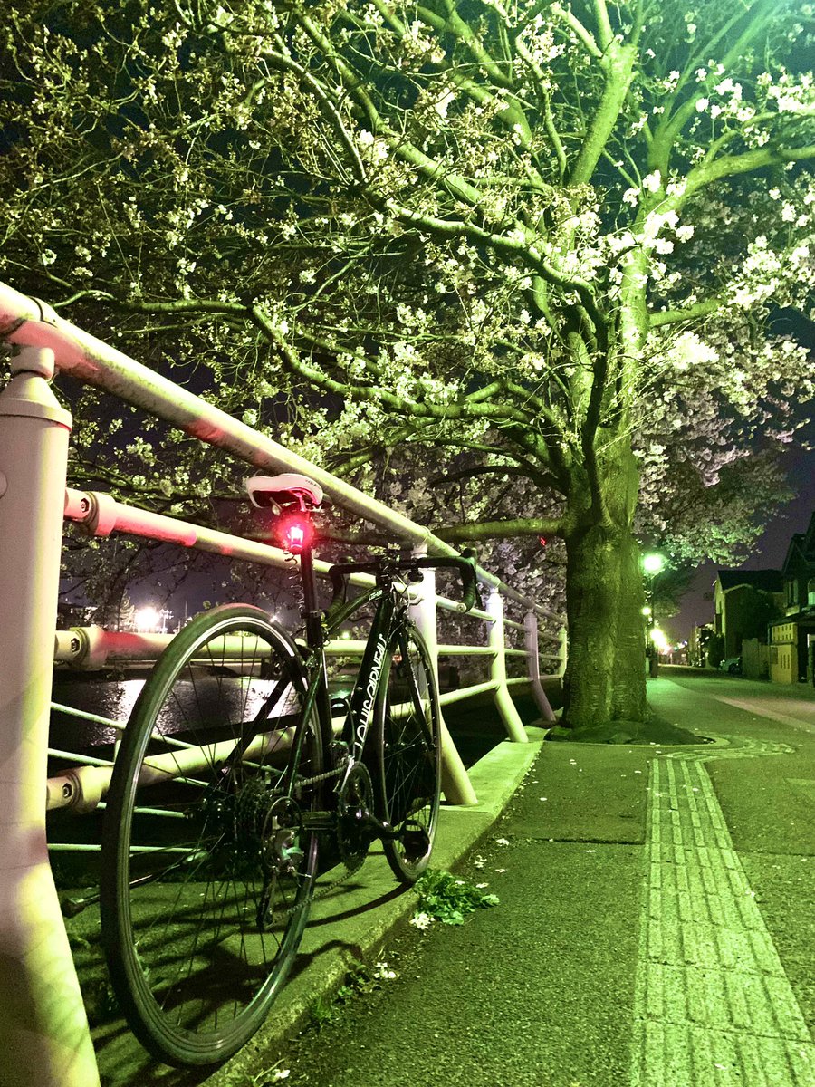 Onimaru_9's tweet photo. 久しぶりにサイクリングいってきた！
桜昼に撮���たかったな〜
撮ってる時間と走った時間同じくらいになったって言うねw
綺麗に撮れてたらよかったな〜 https://t.co/uAk8NrJsBP