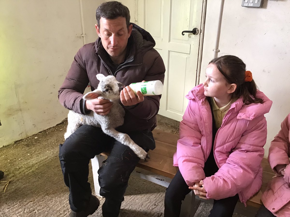 BroomwoodSchool's tweet photo. @redhousefarm Year 4 absolutely loved their visit to Red House Farm this morning, meeting the pigs and lambs and learning all about the wonderful organic farm. https://t.co/3dVoVc7BBZ