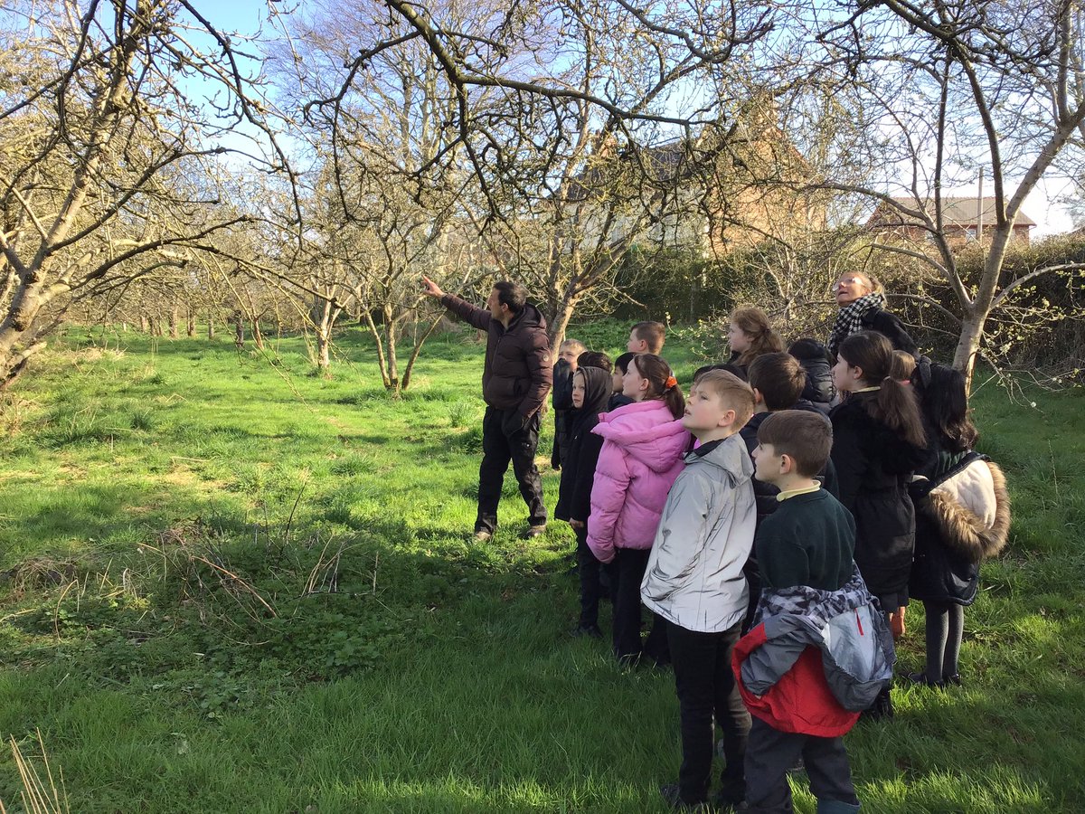 BroomwoodSchool's tweet photo. @redhousefarm Year 4 absolutely loved their visit to Red House Farm this morning, meeting the pigs and lambs and learning all about the wonderful organic farm. https://t.co/3dVoVc7BBZ