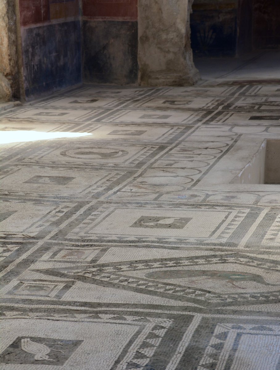 pompei79's tweet photo. Predominantly a monochrome mosaic but dotted with flashes of vibrant colour whether it is the red tongue of the panting guard dog, the greenery of the tree’s foliage or the turquoise of a peacock’s plumage. 
House of Paquius Proculus, #Pompeii 
#MosaicMonday https://t.co/Um4WhbFwmT