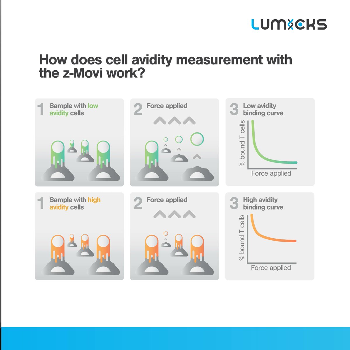 LUMICKS_nl's tweet photo. Significant breakthrough in #CARNK research! A study published @NatureBiotech describes how enhancing #cellavidity in #CARNKs through #synapse tuning leads to increased #anticancer activity. Discover how to optimize your #CARNKtherapies⬇️
https://t.co/yrYp5e0Srl https://t.co/WYLxoizTOa