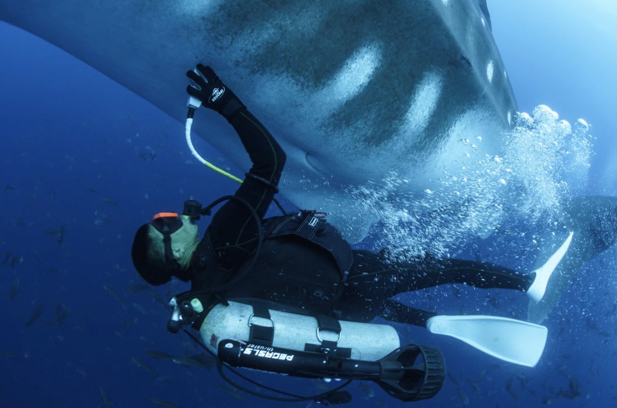 Dr. Claire Simeone tweet media