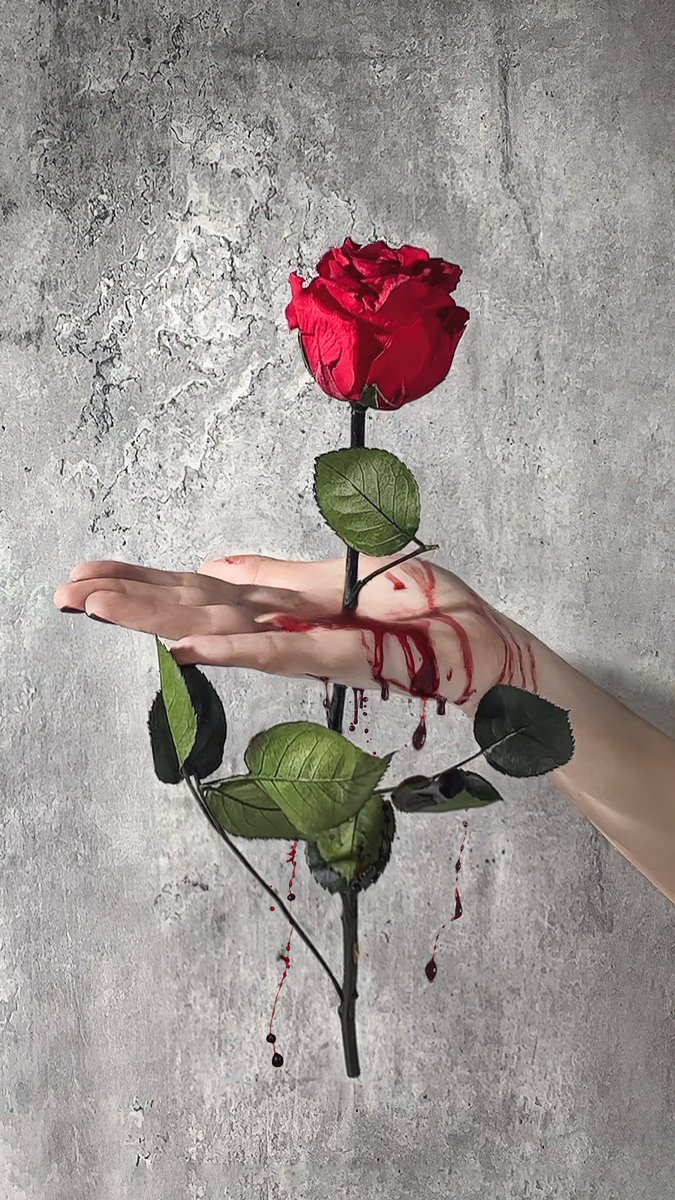 elivecreative's tweet image. La #fotografia es #poesia❤️ Si tuviera que comparar la vida, lo haría con una #rosa y sus espinas 🌹Y ese va a ser el tema y composición de esta fotografía 📸#fotografiacreativa