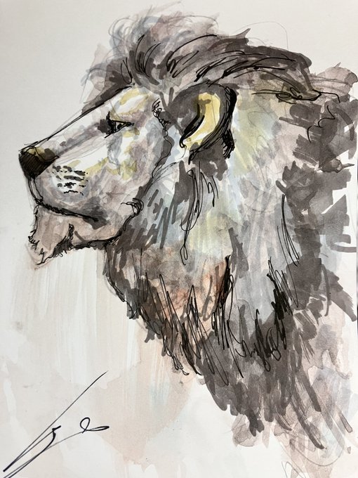 「lion male focus」 illustration images(Latest)