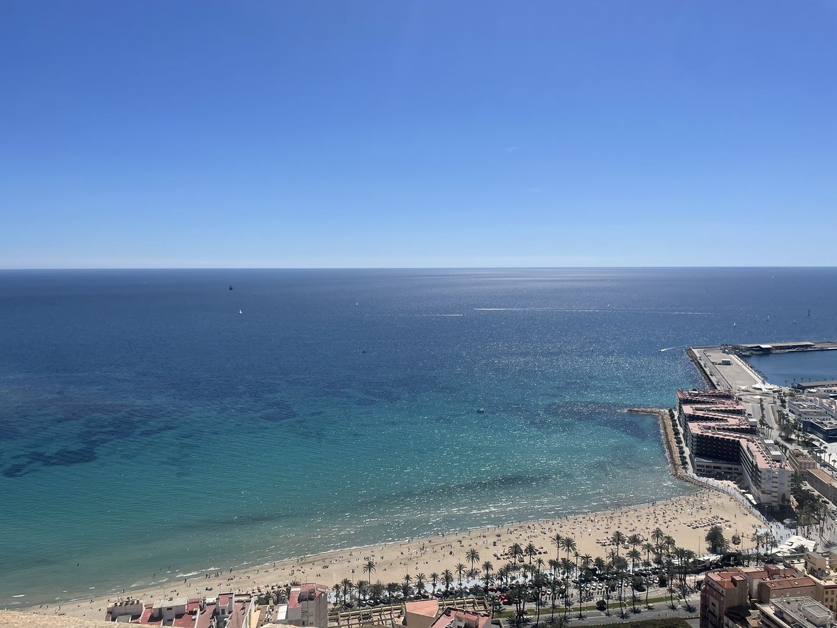 Mathias Berg tweet media