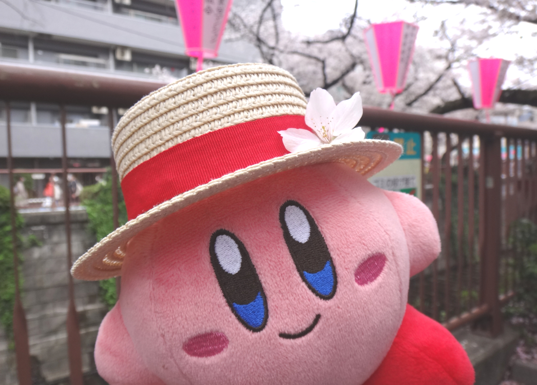 カービィ「恒例行事 今年は中目黒。協賛すればピンクの提灯作ってくれるぽい。ペットや子供のお」|まみたのイラスト