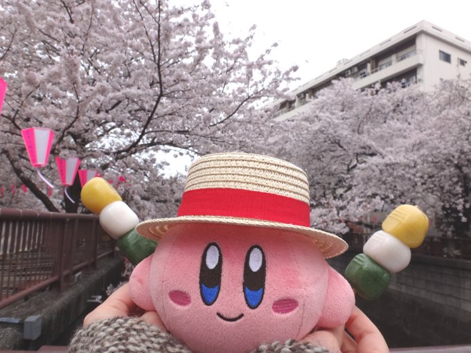 恒例行事 今年は中目黒。協賛すればピンクの提灯作ってくれるぽい。ペットや子供のお名前書いてあって提灯観るのも面白い、合格祝いに作るご家庭もある。カービィの名前でも作ってくれるのかな? 