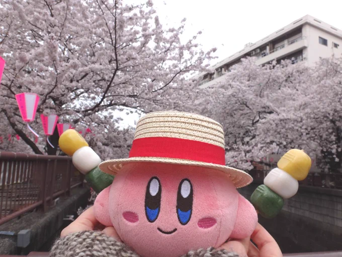 恒例行事 今年は中目黒。協賛すればピンクの提灯作ってくれるぽい。ペットや子供のお名前書いてあって提灯観るのも面白い、合格祝いに作るご家庭もある。カービィの名前でも作ってくれるのかな? 