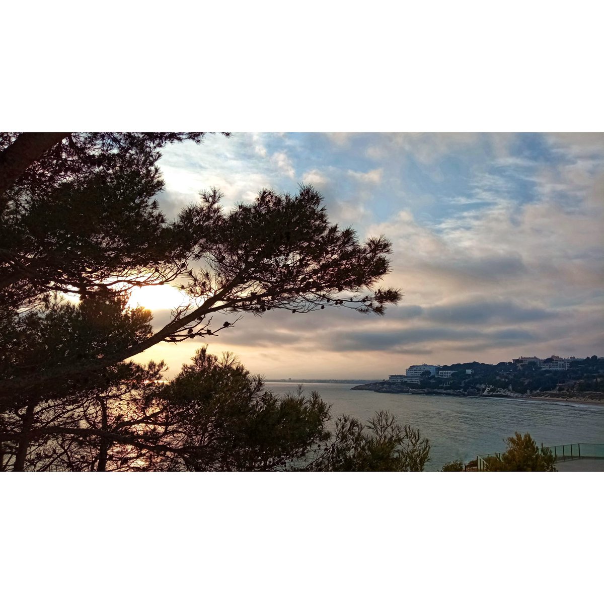 Grasset Serveis Immobiliaris tweet media