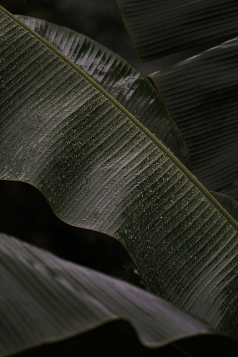 Isuru Ranasingha tweet media