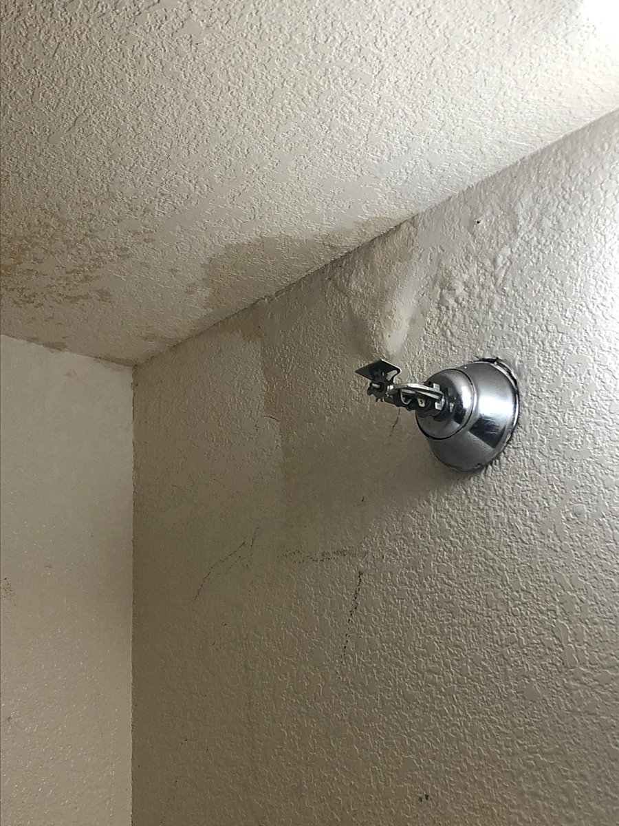 WeInvisible's tweet image. This is an email sent to #fresnohomelessunion from a resident at a #projecthomekey shelter ran by @TPOCC_1970 &amp;amp; owned by @CityofFresno,
&quot;I currently live at Sage commons motel and I had a issue with my roof leaking and several times I went to the office to complain about my roof