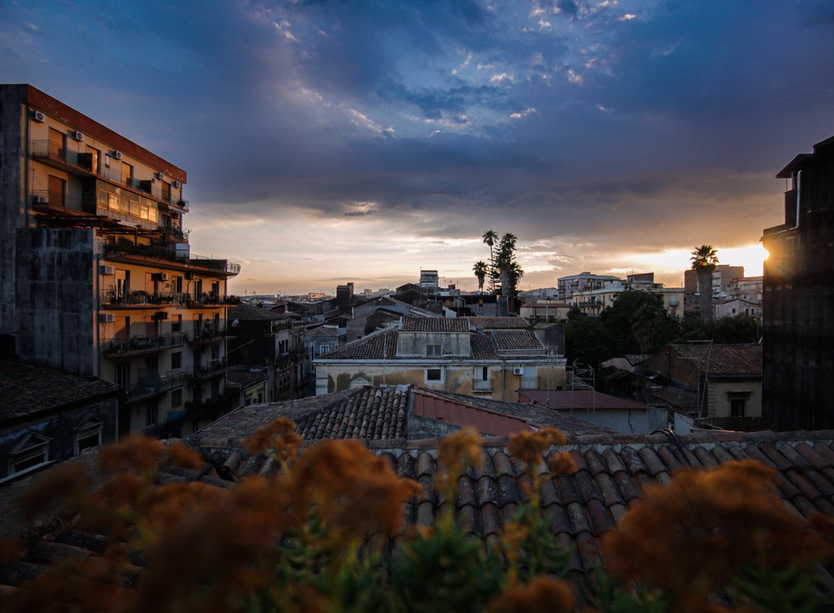 Patrick K. tweet media