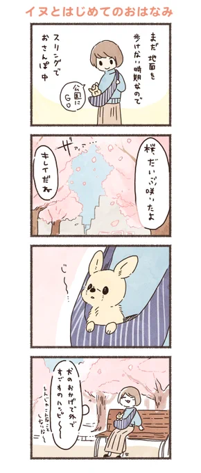 子イヌ時代にお花見した時のおもいで🌸 