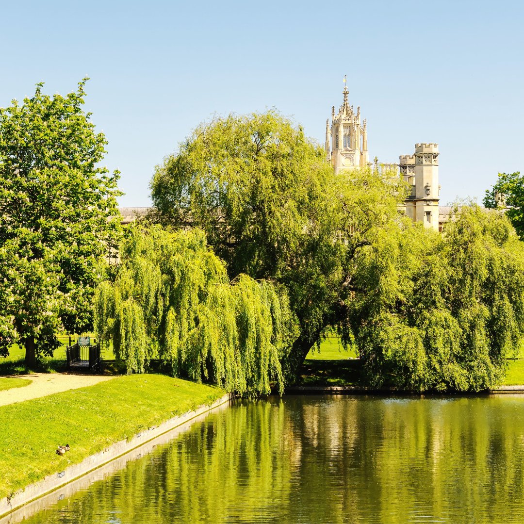 Oxford Summer Courses tweet media