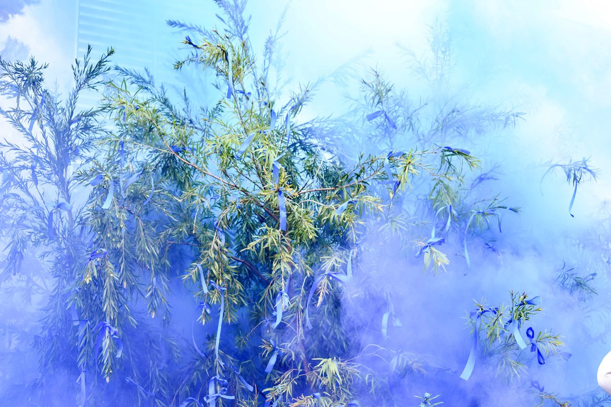 Plave trake na drvetu ispred Instituta za onkologiju KCCG

Simboličkim kačenjem plavih traka na drvo, koje su simbol borbe protiv raka debelog crijeva, ljekari Instituta za onkologiju KCCG, obilježili su Svjetski mjesec borbe protiv raka debelog crijeva.

facebook.com/klinickicentar…