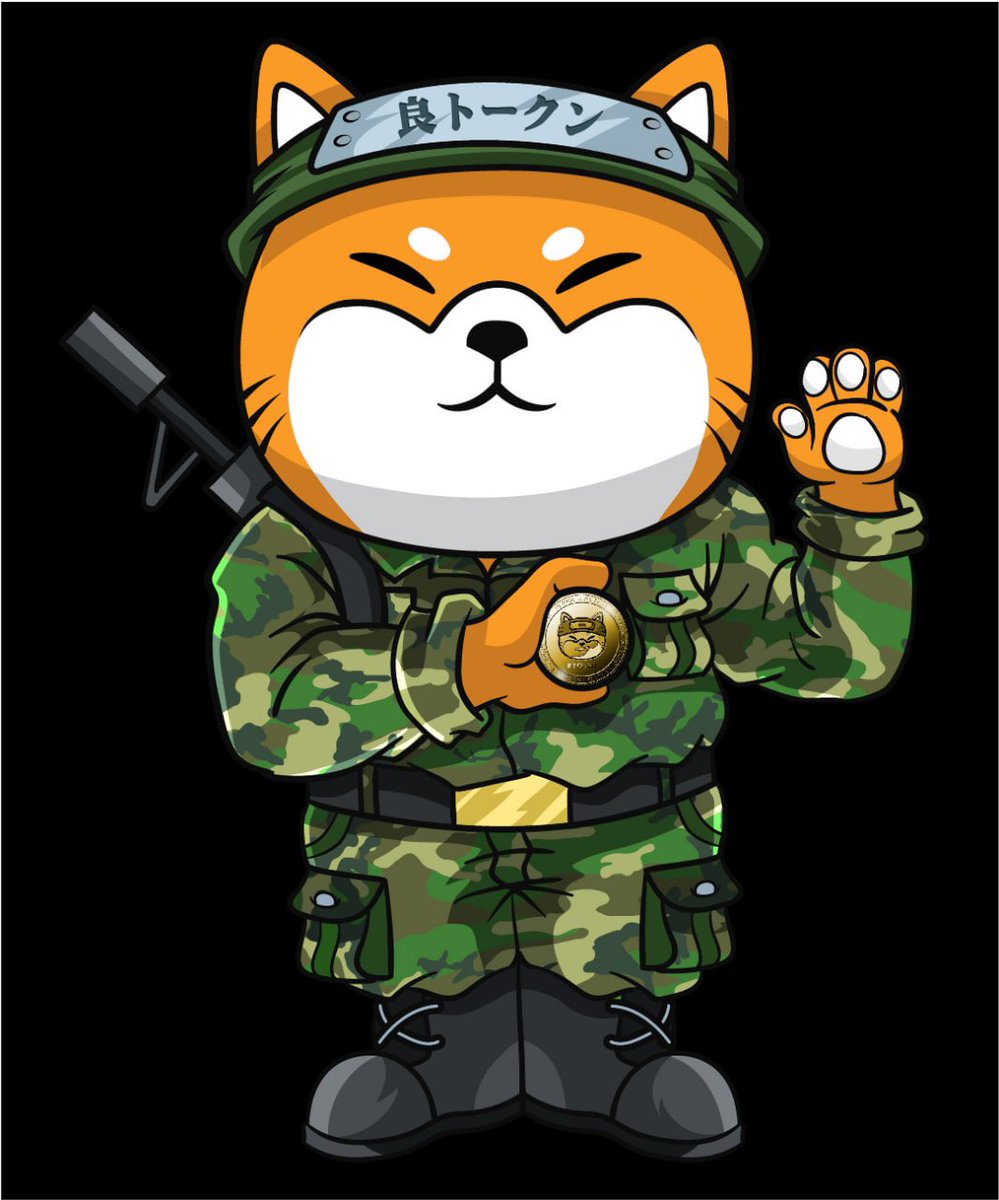 This is my Ryoshi. There are many like it, but this one is mine.
My Ryoshi is my best friend. It is my life. I must master it as I must master my life. Without me, my Ryoshi is useless. Without my Ryoshi, I am useless. On this day I solemnly swear to HODL &amp; Never sell my RYO$HI