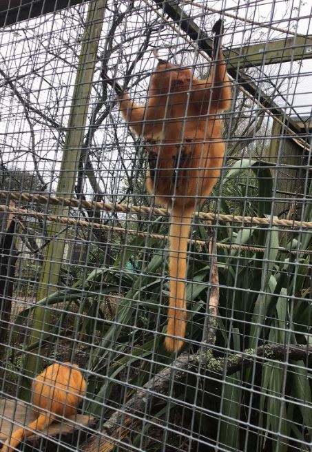 Quethiock CE School tweet media