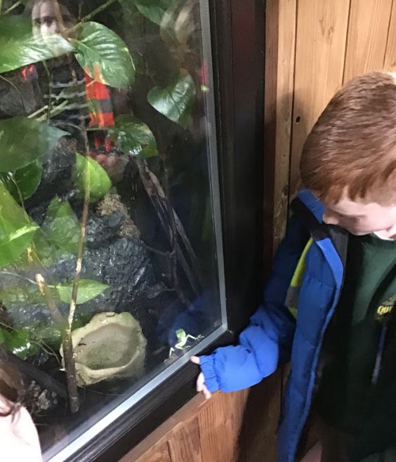 Quethiock CE School tweet media