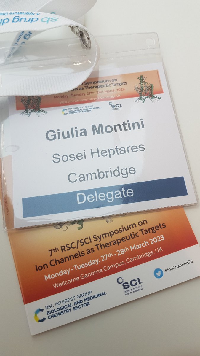 Giulia S Montini tweet media