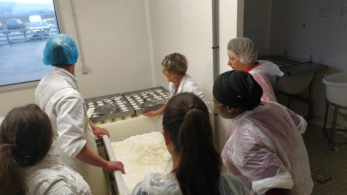 Qual_Lait_Idele's tweet photo. C'est la saison des stagiaires ! La ferme du #Pradel est tout indiquée pour une journée découverte de l'élevage des chèvres et la fabrication du #Picodon #AOP avant de les envoyer sur le terrain !
Et pour la #journeenationaledufromage, on en ramène un bout aux collègues à Lyon 😋 https://t.co/jKyrynRABr