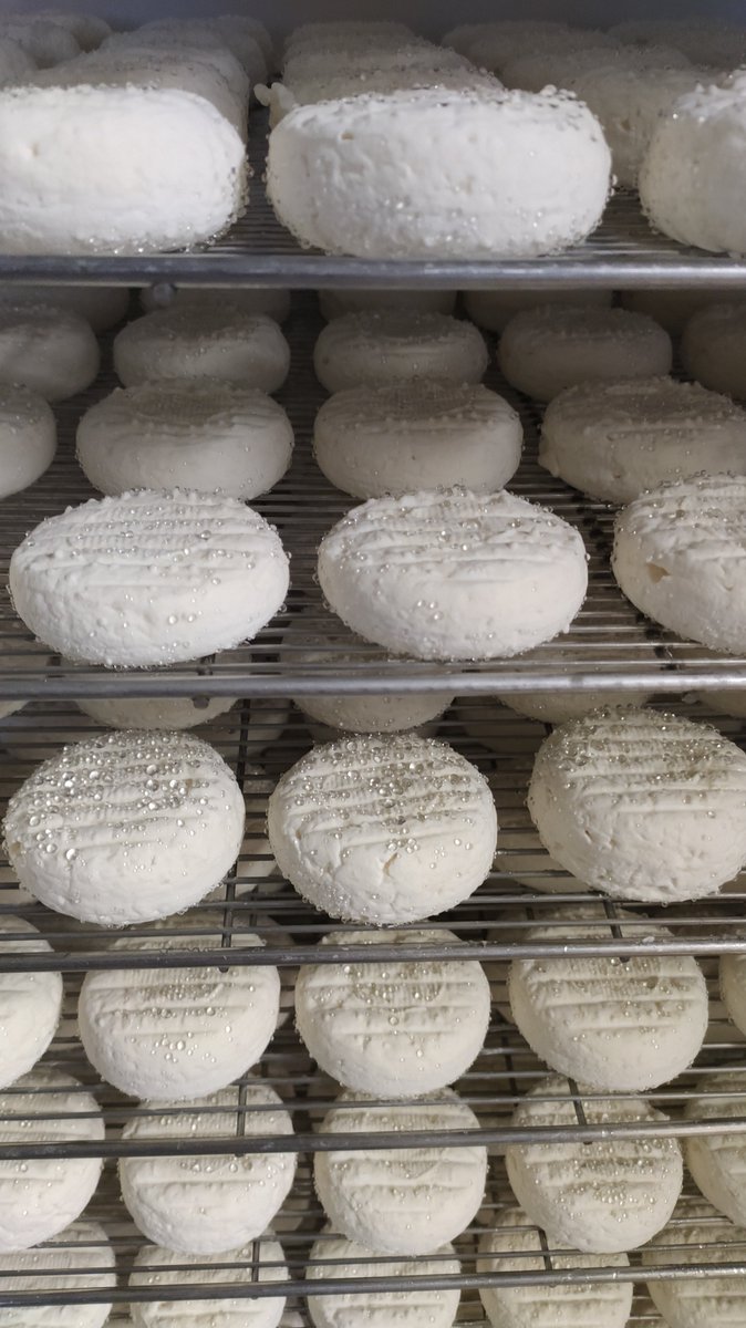 Qual_Lait_Idele's tweet photo. C'est la saison des stagiaires ! La ferme du #Pradel est tout indiquée pour une journée découverte de l'élevage des chèvres et la fabrication du #Picodon #AOP avant de les envoyer sur le terrain !
Et pour la #journeenationaledufromage, on en ramène un bout aux collègues à Lyon 😋 https://t.co/jKyrynRABr