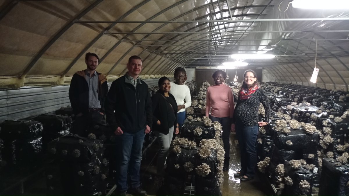 ChiamFosc's tweet photo. Students of @DeKUTkenya and experts of @UniHohenheim visited Bay Zoltan Nonprofit Ltd. in Szeged and Pilze-Nagy Ltd. in Kecskemét. Now, after seeing the process of oyster mushroom production, the students are ready to develop new food products for Kenya!
#chia #oystermushroom https://t.co/PGH1Uw7Zkm