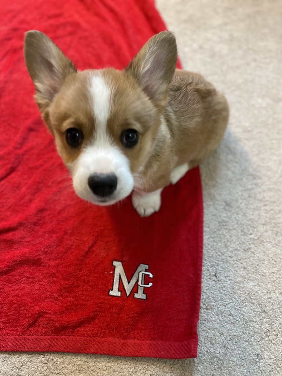 Jamie Heath tweet media