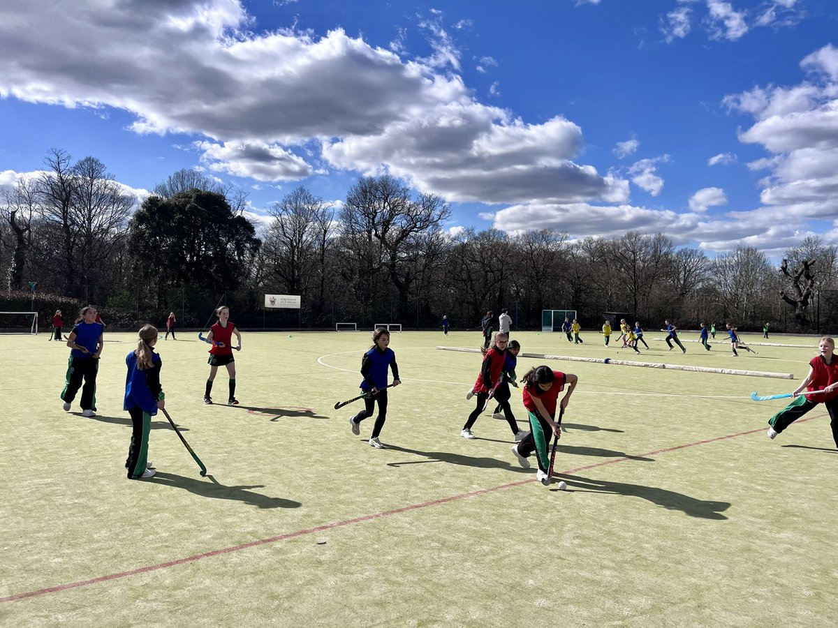 SCPS Physical Ed & Sports tweet media