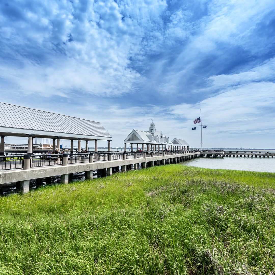 Here to show some Charleston love 💗 

#cofc #collegeofcharleston #chs