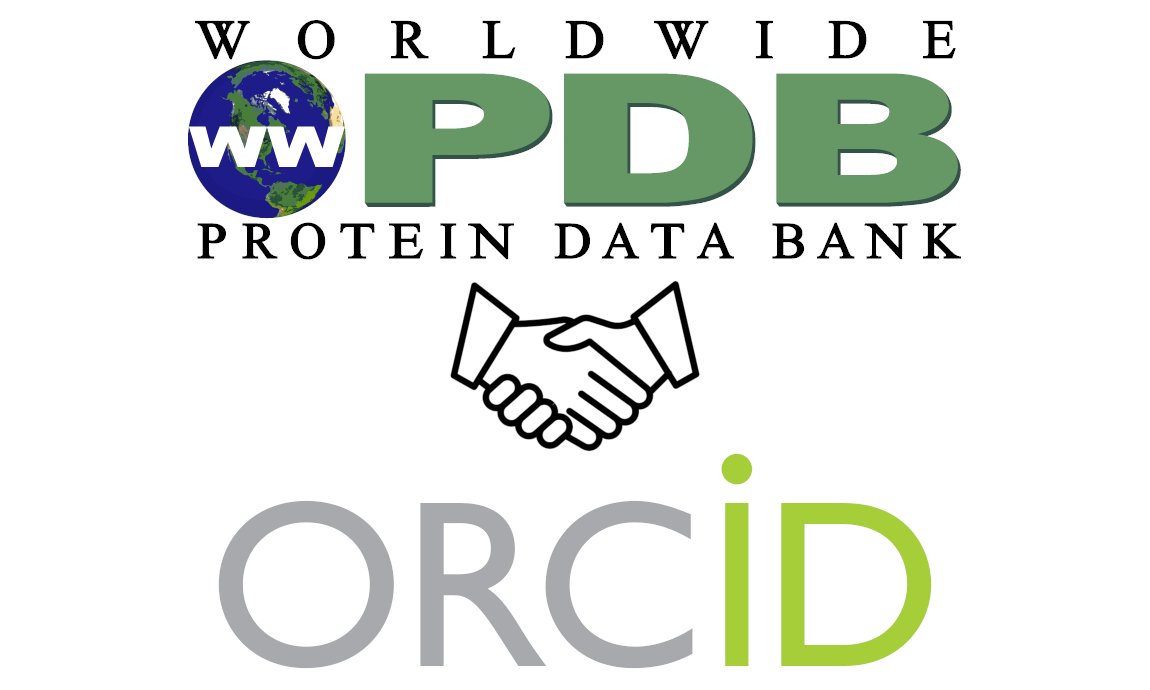 Protein Data Bank (@pdbeurope) on Twitter photo The wwPDB is pleased to annouce that contact authors can log into OneDep using <a href="/ORCID_Org/">ORCID Organization</a> authentication and access all their associated depositions through this authentication.
🔗 wwpdb.org/news/news?year… The wwPDB is pleased to annouce that contact authors can log into OneDep using <a href="/ORCID_Org/">ORCID Organization</a> authentication and access all their associated depositions through this authentication.
🔗 wwpdb.org/news/news?year…