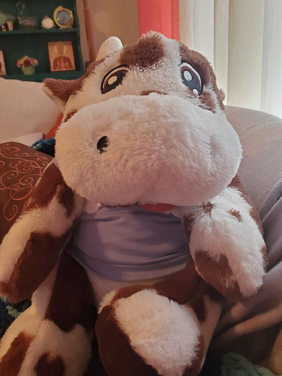 Chemoo the Chemootherapy Cow tweet media