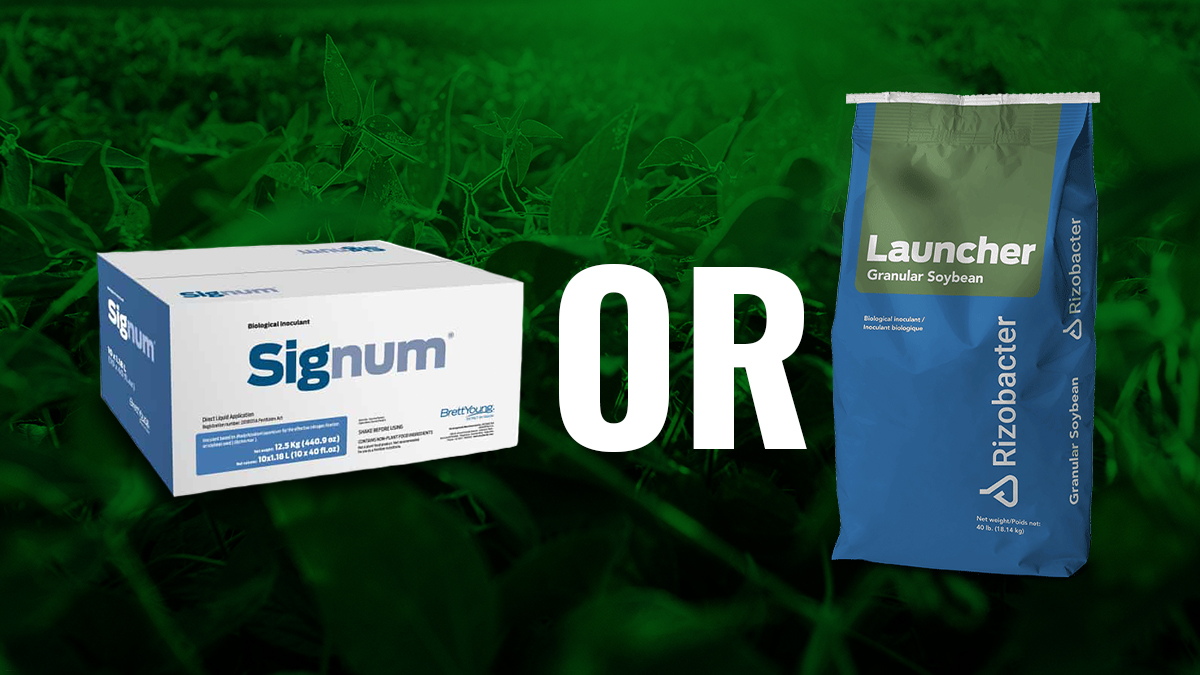 Granular inoculants? Liquid? Both? This is a crucial decision.
Inocolants provide crops with the nodulation they need, but there are many factors to consider — like cost, soil history, &amp; product compatability.
BY is here to help you make the right choice:
buff.ly/3FB14Vy