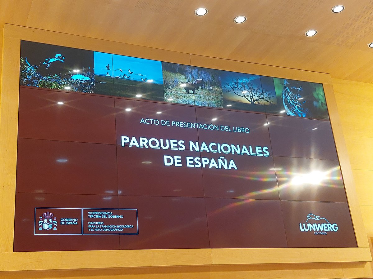 ResilienciaCCOO's tweet photo. #CCOO asiste al Acto de presentación del libro Parques Nacionales de España. El PRTR destina más de 243 mill € a gestionar adecuadamente las infraestructuras verdes. Medida fundamental de adaptación a los efectos del cambio climático @Resiliencia https://t.co/6hkV9wAqSH