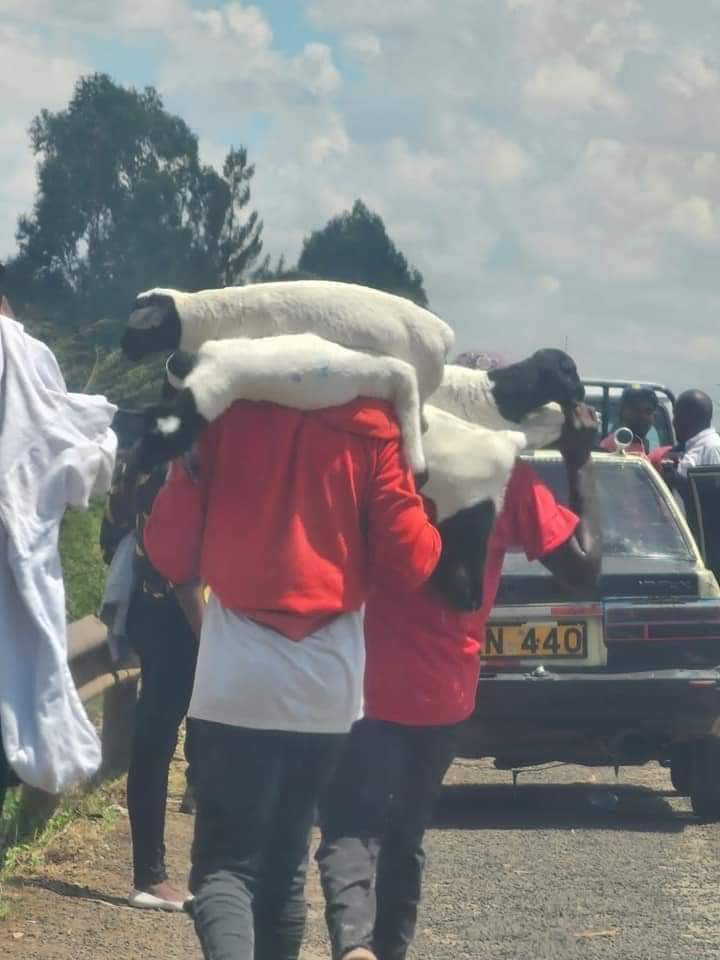 Unachukuwa mbuzi kutoka Kenyatta's farm na unapitia spectre ndiyo upewe gas ya kupikia.... Hasoras watanona huu mwaka....😀😀