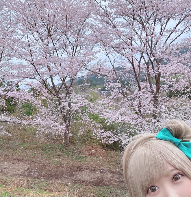 コスプレイヤー白田まめのTwitter画像15