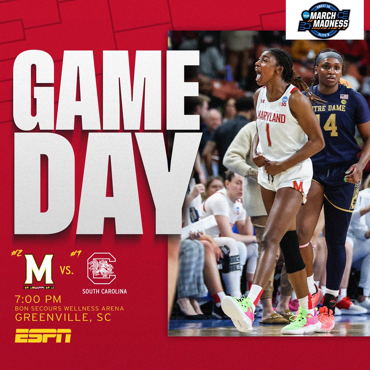 Catalyst Hot Dogs on Twitter "Let’s. Go. 🐢."