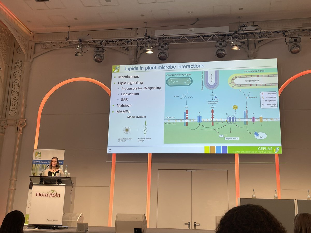 PhD candidate Pia Saake from <a href="/Team_Zuccaro/">Alga Zuccaro</a> group discusses the role of lipids as MAMPs in plant interactions <a href="/ceplas_1/">CEPLAS</a>